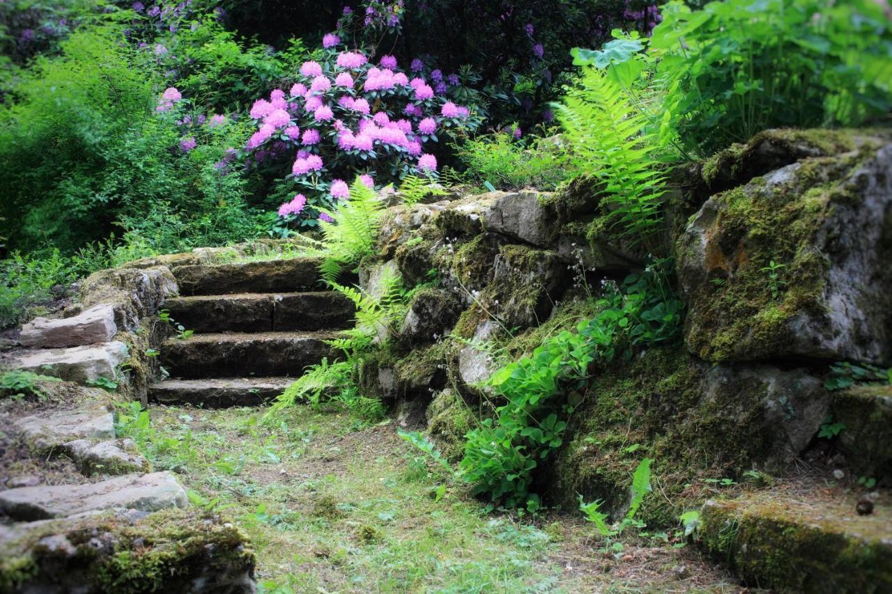 Villa Brodthage, App. 2 Walkenried Zewnętrze zdjęcie